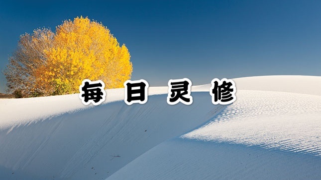 每日灵修 腓立比书2:19-24